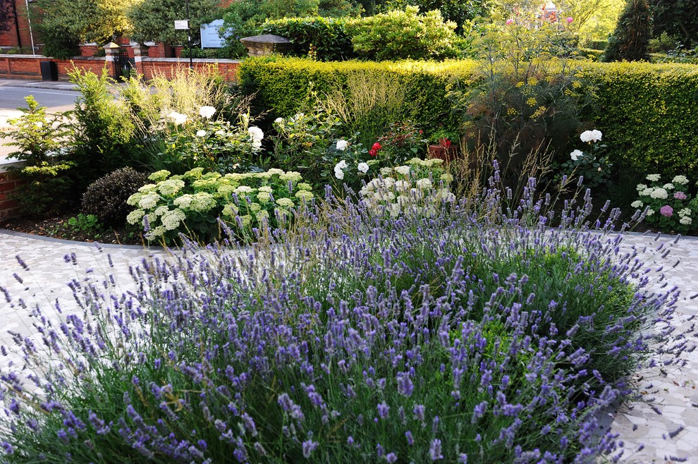 Свежая идея для дизайна: солнечный участок и сад на переднем дворе в современном стиле с садовой дорожкой или калиткой и хорошей освещенностью - отличное фото интерьера