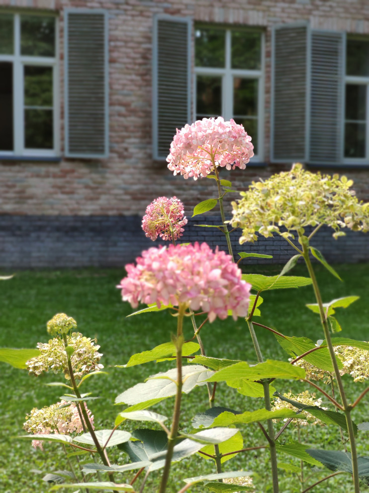 Проект "Форест"