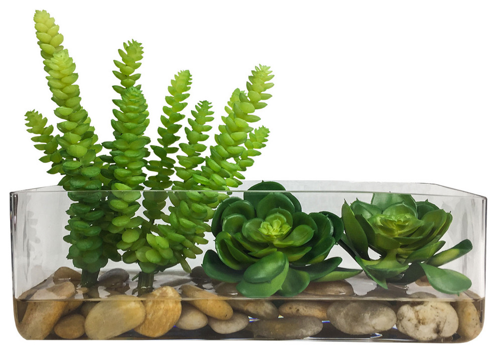 Succulent Plant in Rectangle Vase - Contemporary - Artificial