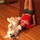 patti_mcdonough