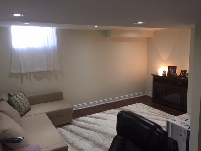 Basement Renovation -