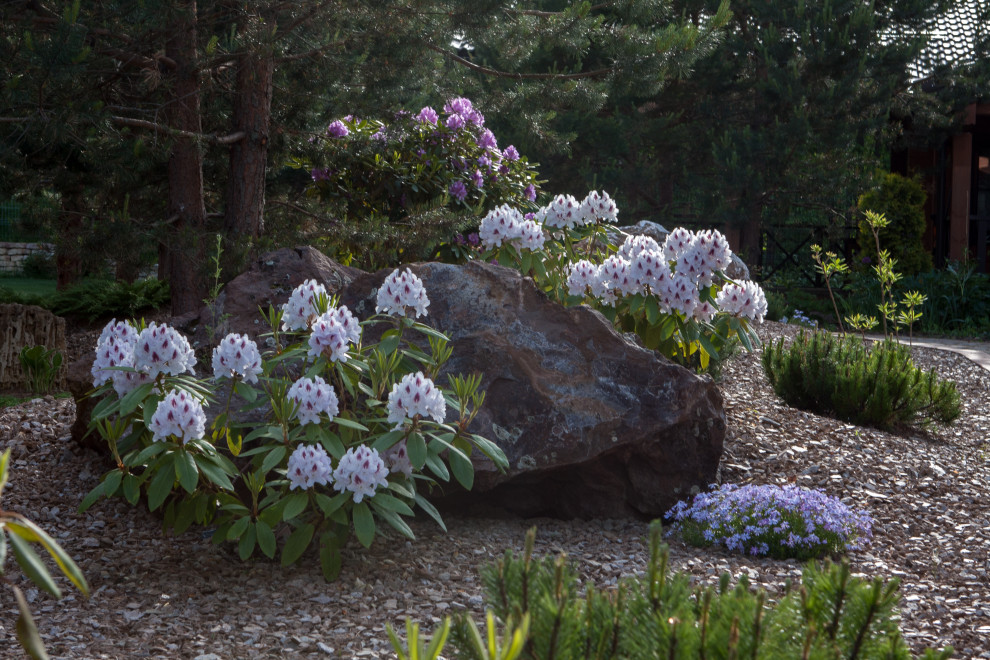 Полет Шмеля 2