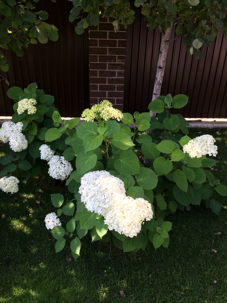 Вавиловец 1