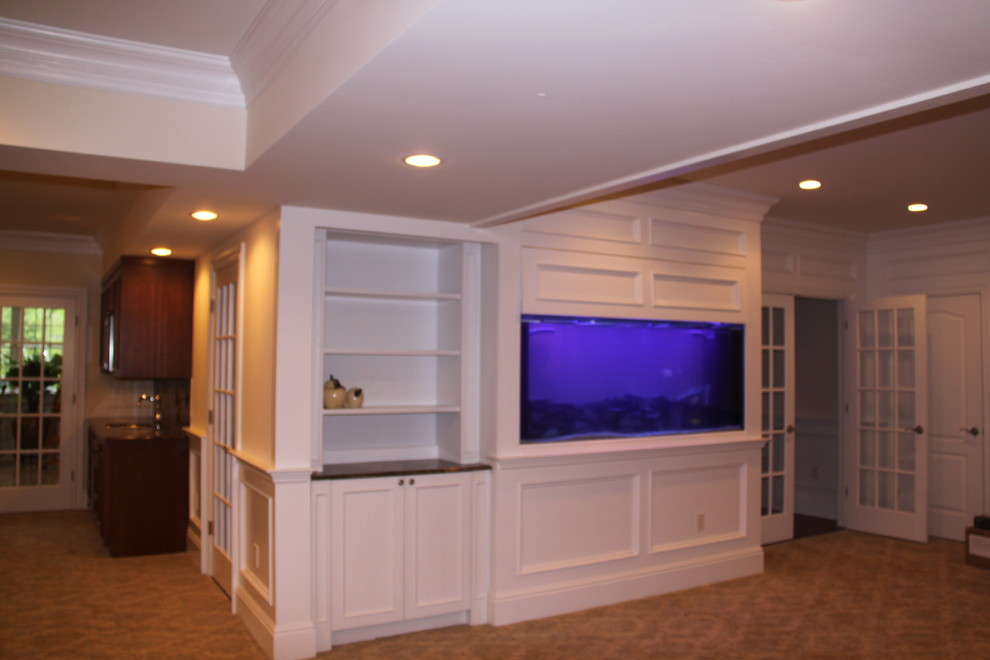 This is an example of a transitional basement in New York.