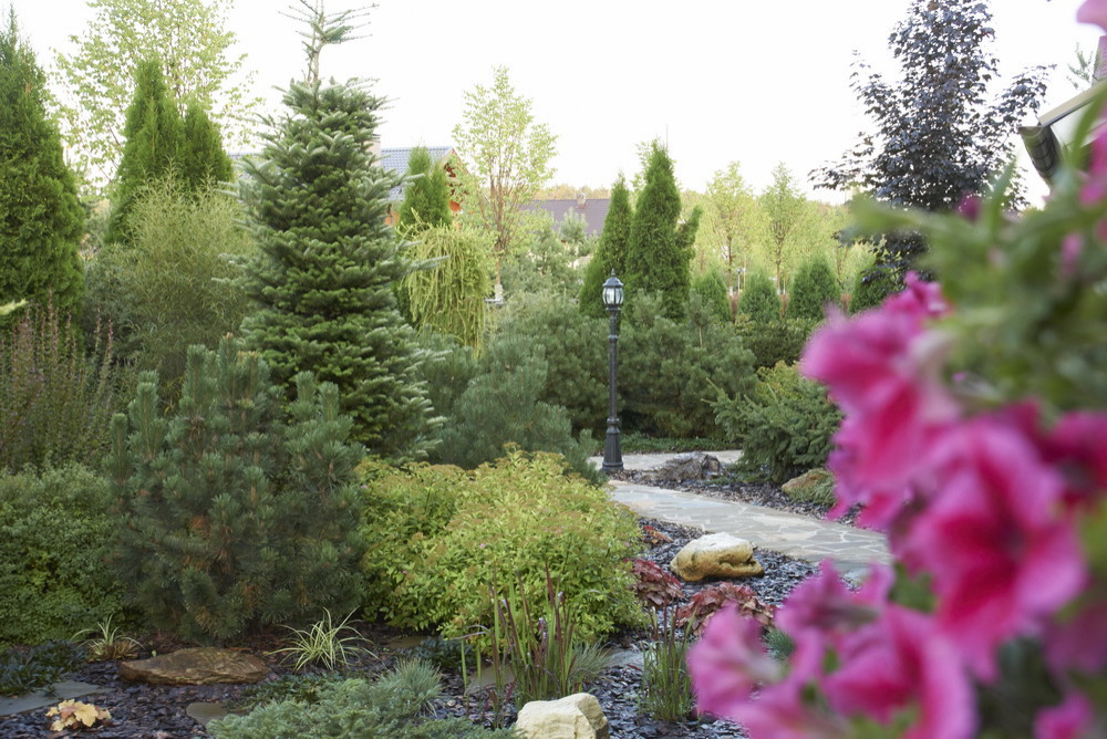 Витро Кантри