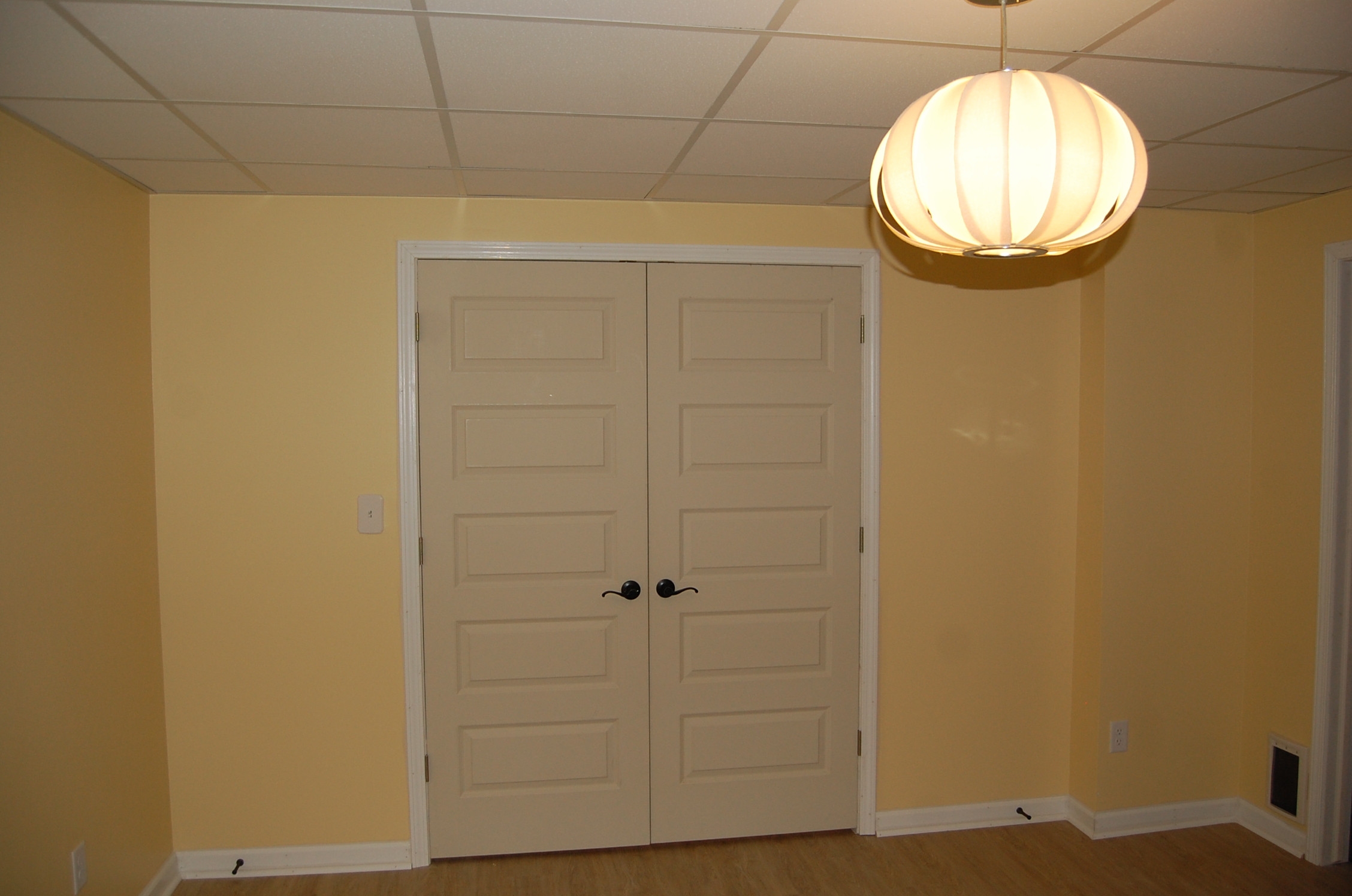 Basement office and work out area