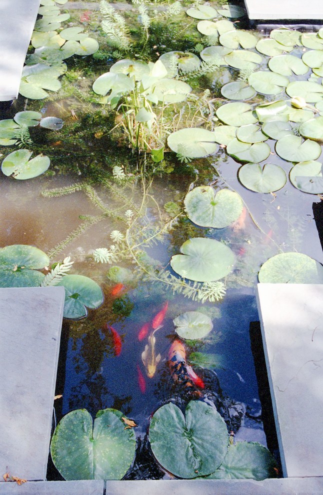 Eikenberry Residence