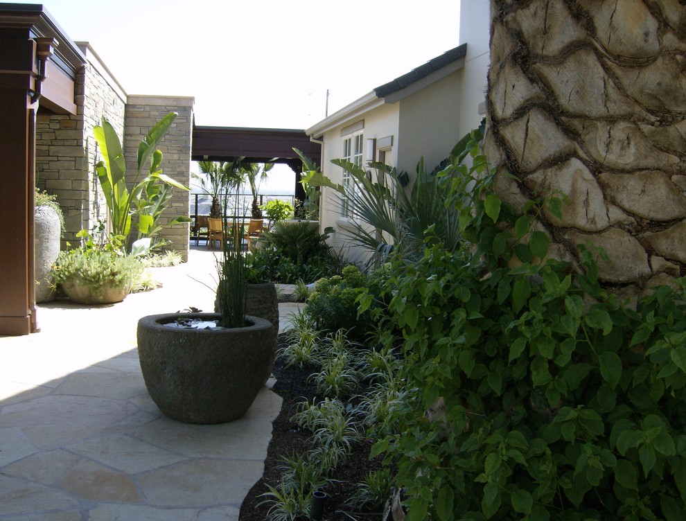 This is an example of a mid-sized tropical backyard patio in San Francisco with a container garden, natural stone pavers and no cover.