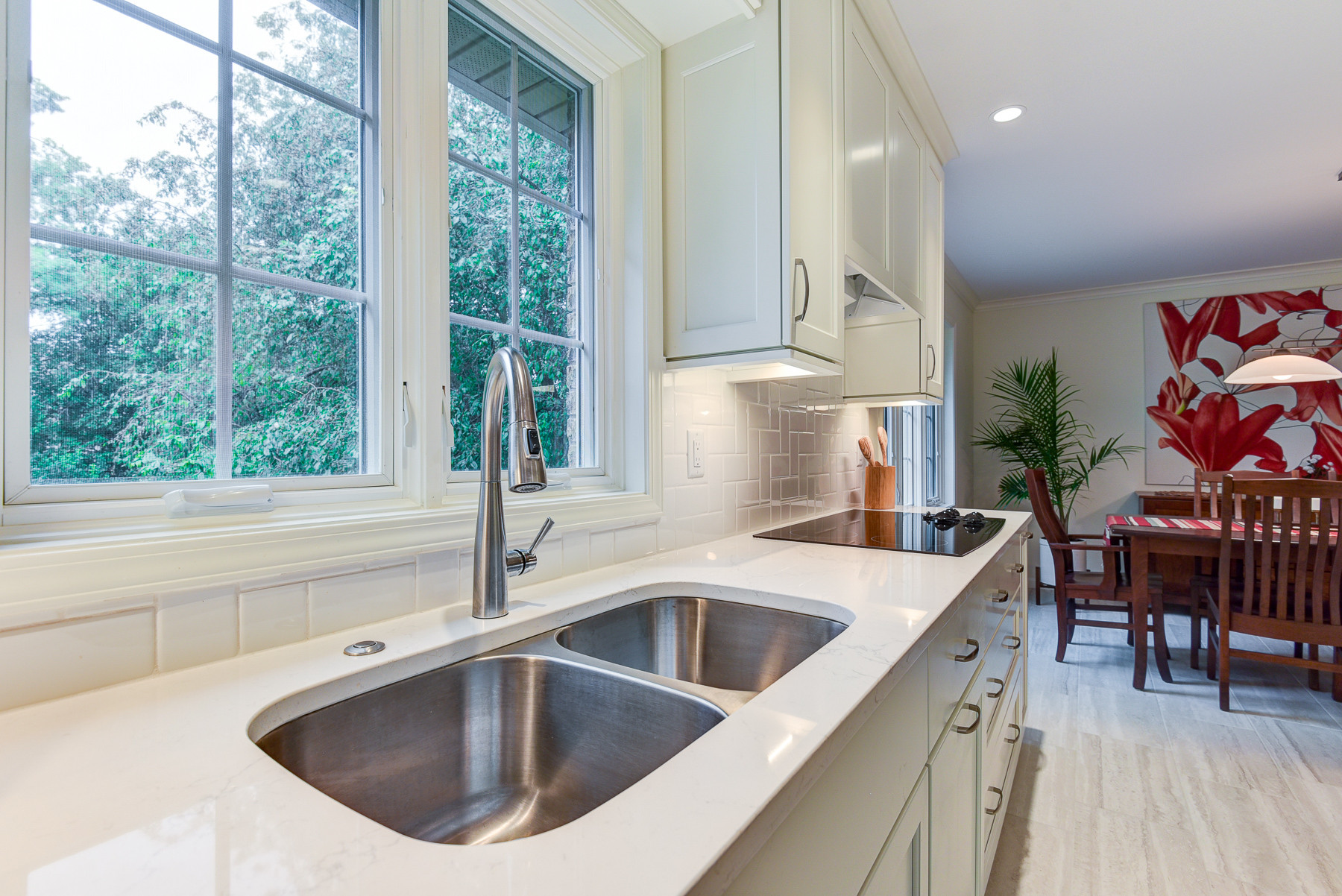 Modern Kitchen Champaign