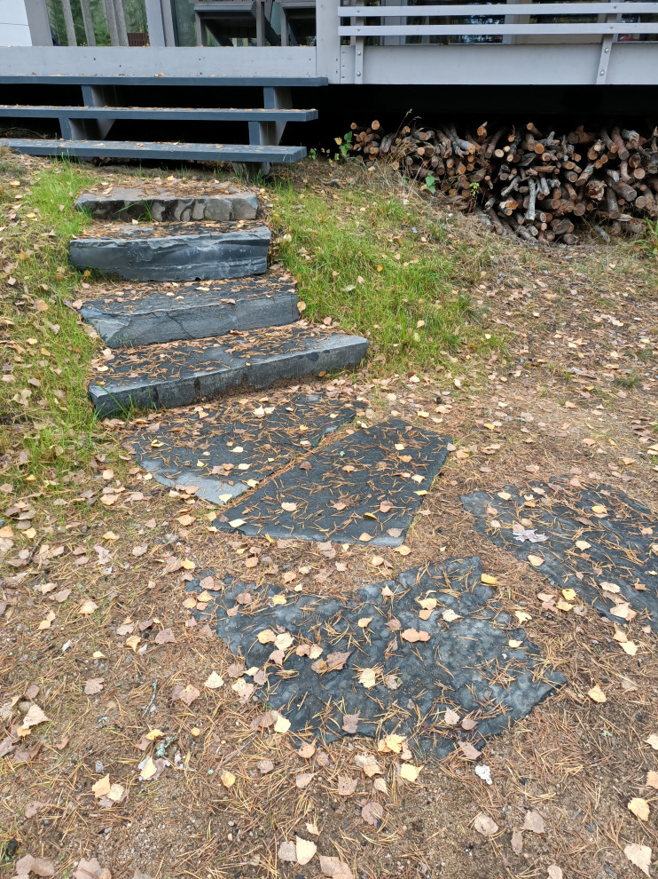 Участок в сосновом лесу, 2020