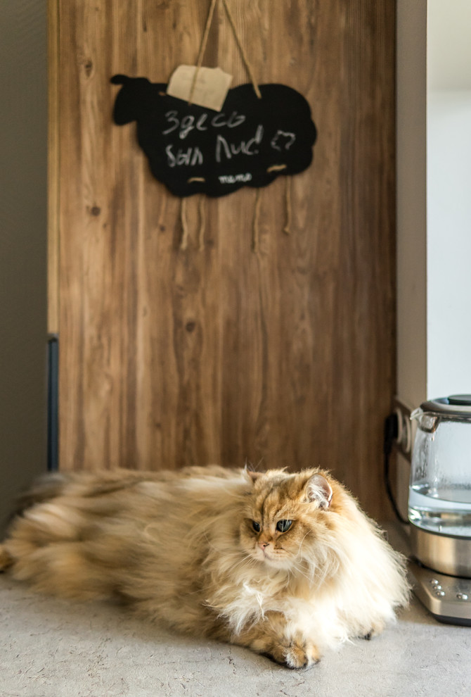 Квартира для Лиса