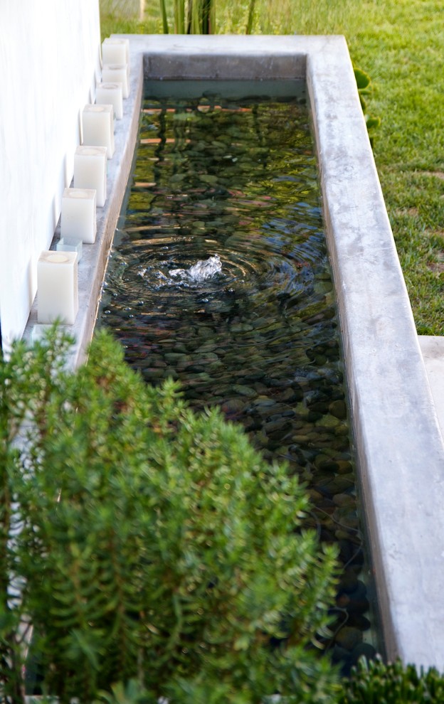 This is an example of a mid-sized modern backyard full sun garden in Los Angeles with with pond and concrete pavers.