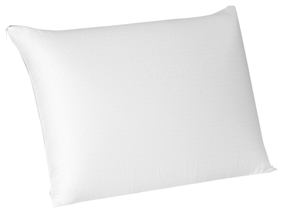 Beautyrest Latex Foam Pillow Contemporary Bed Pillows by HOLLANDER
