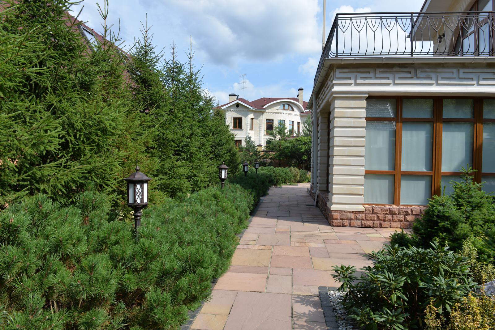 От знакомства до последнего цветника 6 месяцев