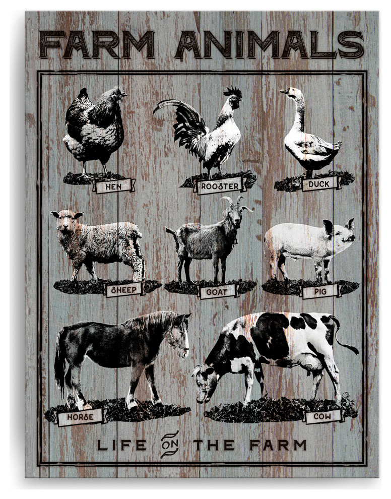 Farm Animals' Farmhouse Wrapped Canvas Wall Art, 40" H x 30" W