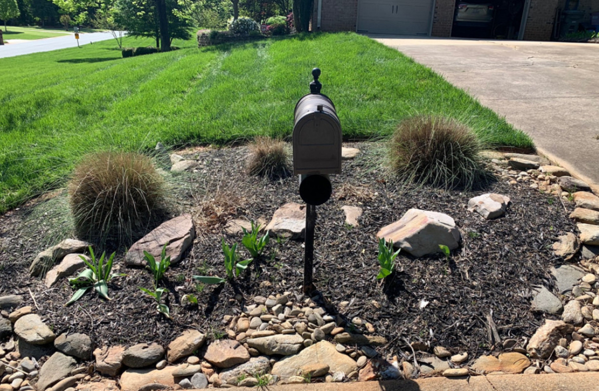 Creating Curb Appeal
