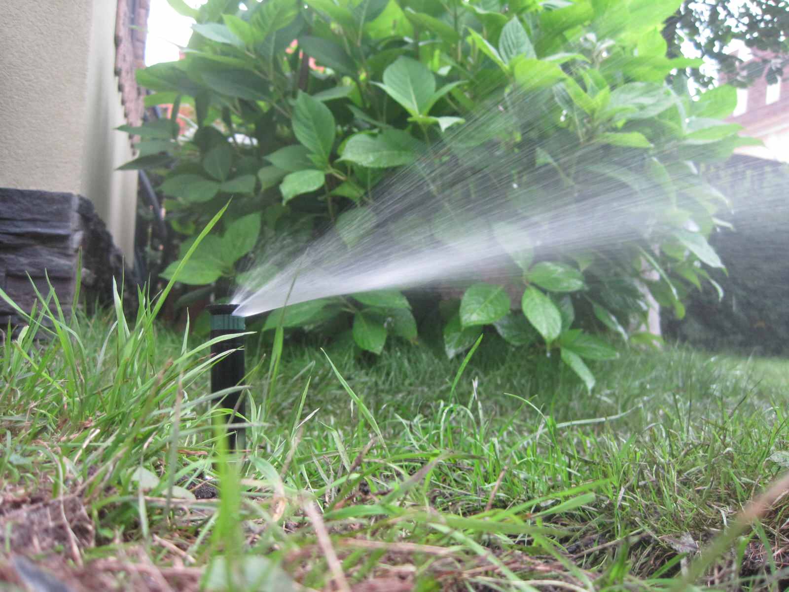 Благоустройство и озеленение