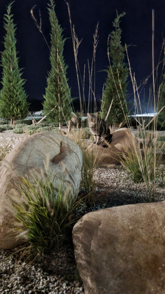 Реализация проекта Сад Реки