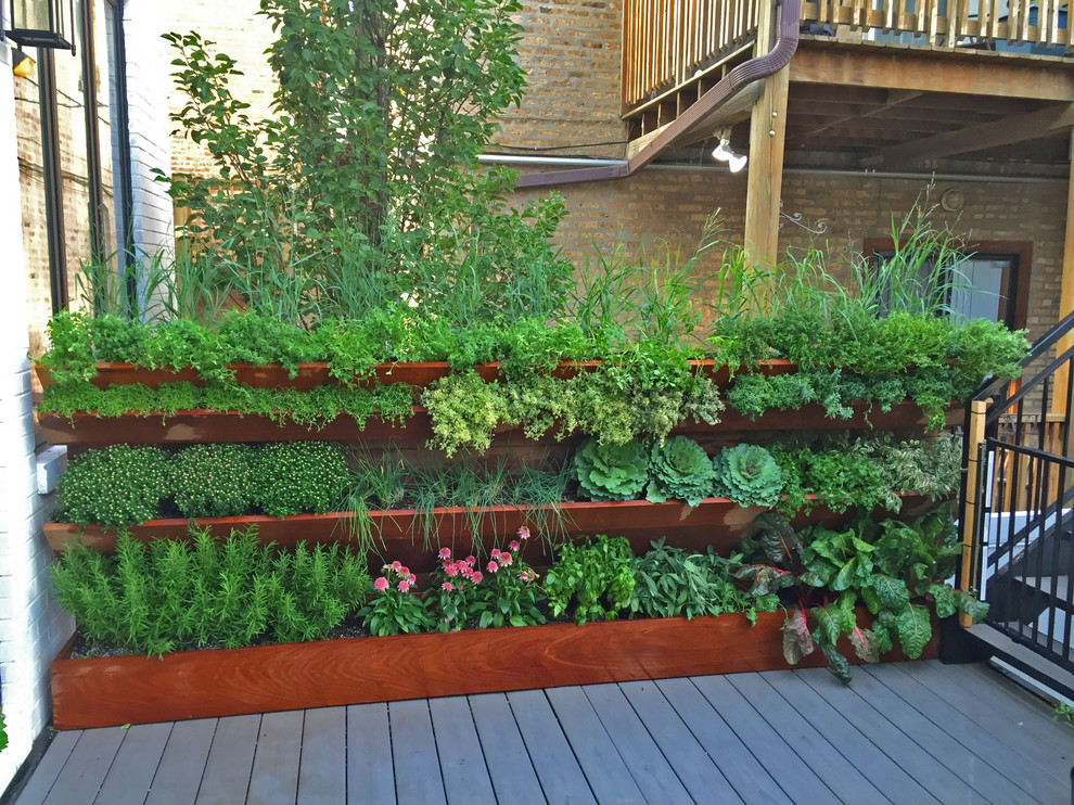 Inspiration for a small contemporary rooftop full sun garden in Chicago with a vegetable garden.