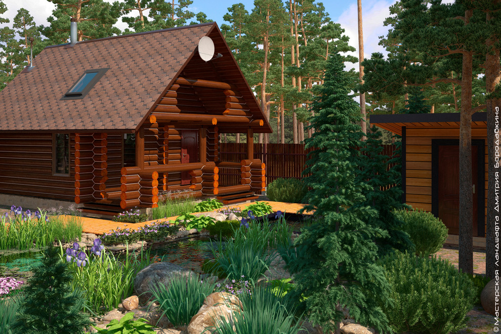 Утро в сосновом лесу