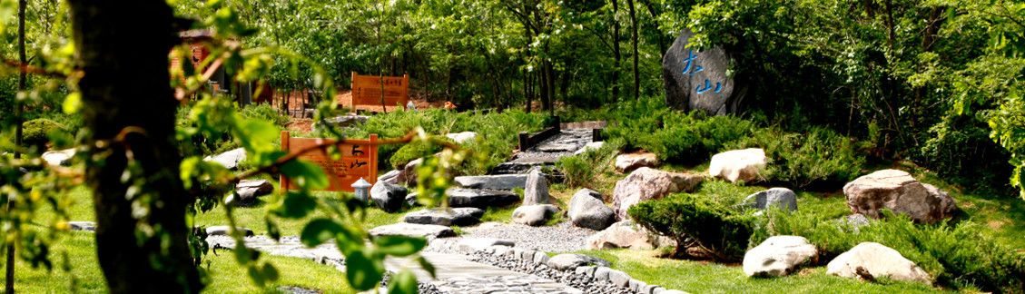 Seattle Tree Park Company Mt Vernon Wa Us Seattle Tree Park Company Landscape Architects And Designers