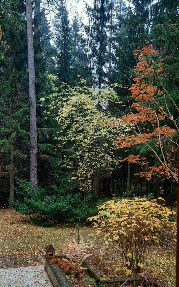 Романтический сад в пейзажном стиле