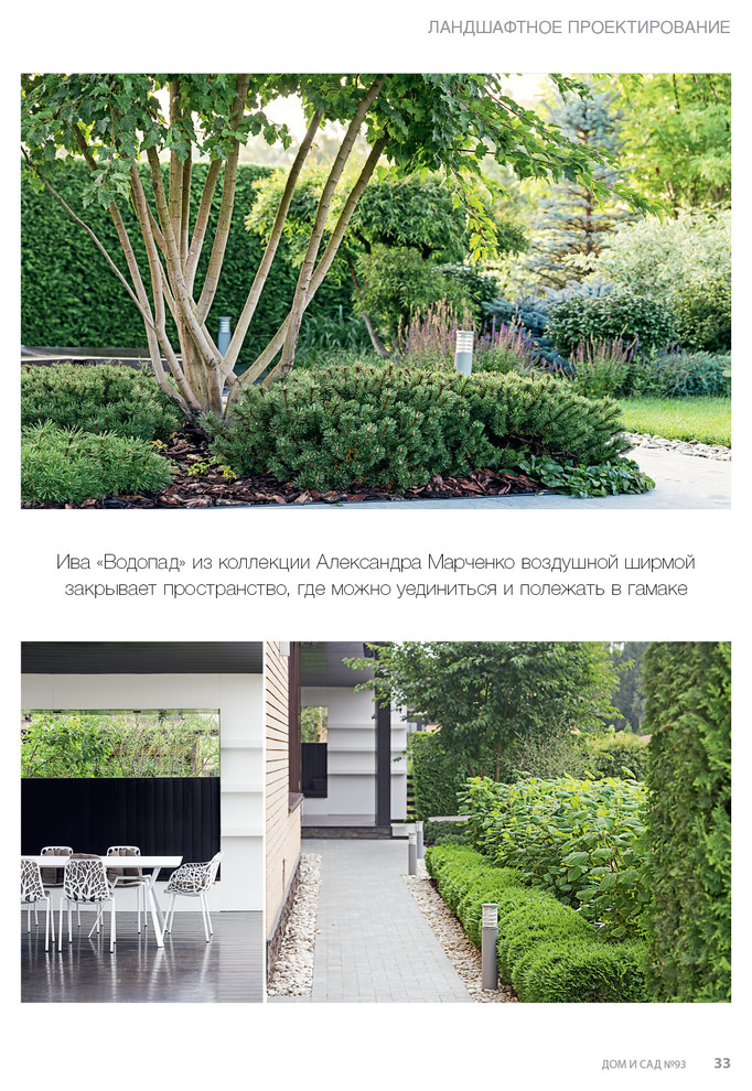 Фотосъёмка сада (к/п Светлогорье)