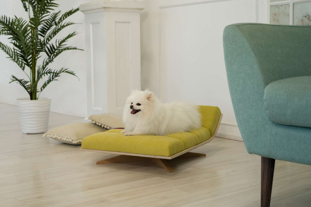 Мебель из массива для животных. Модель SONO-Y