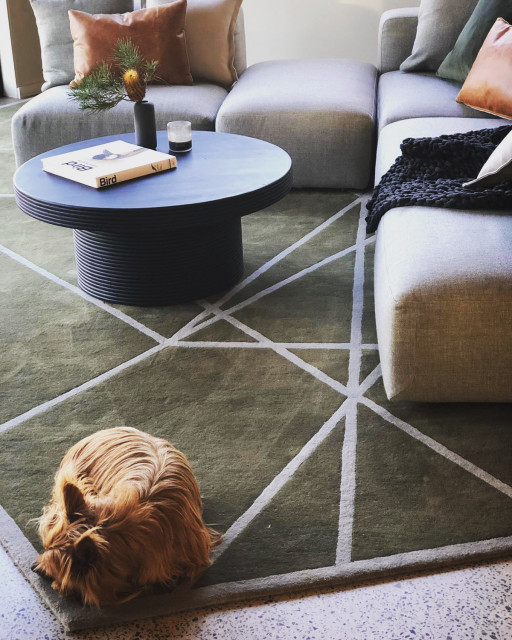Relaxing Lounge contemporary-vardagsrum