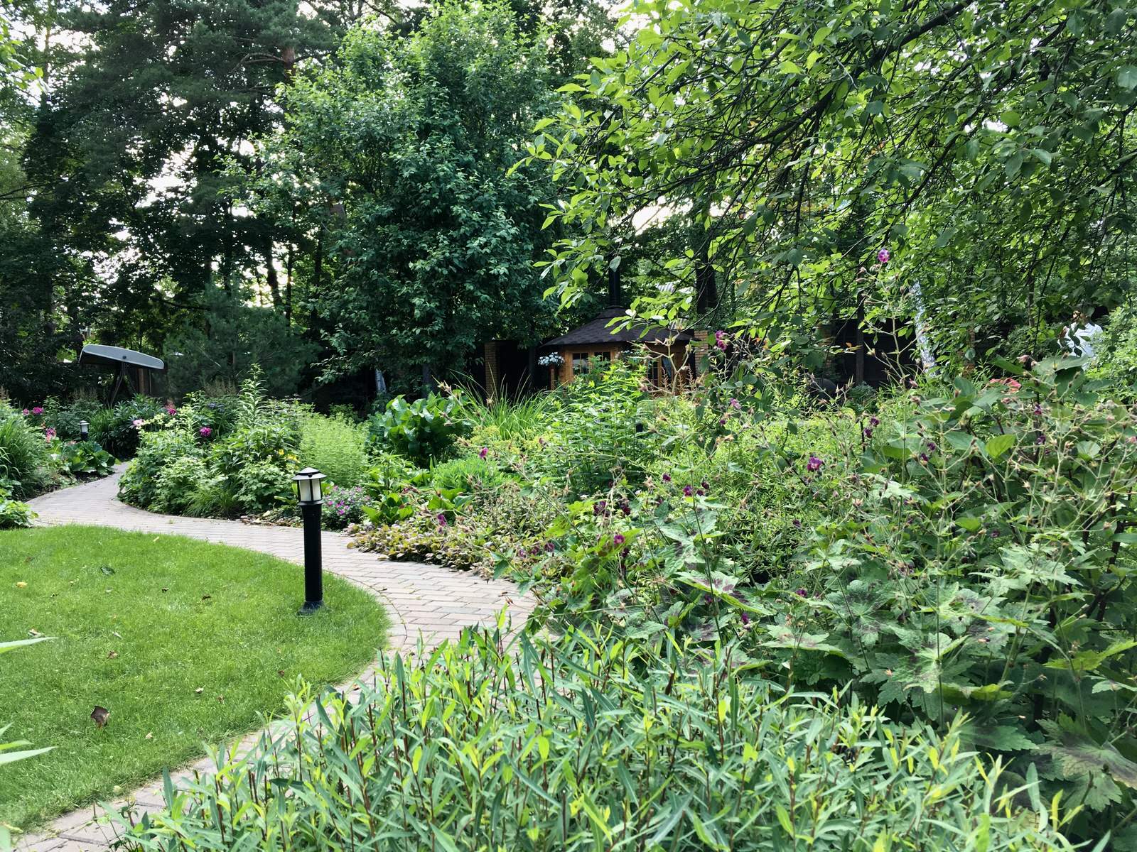 Белкин сад. Лето 2019