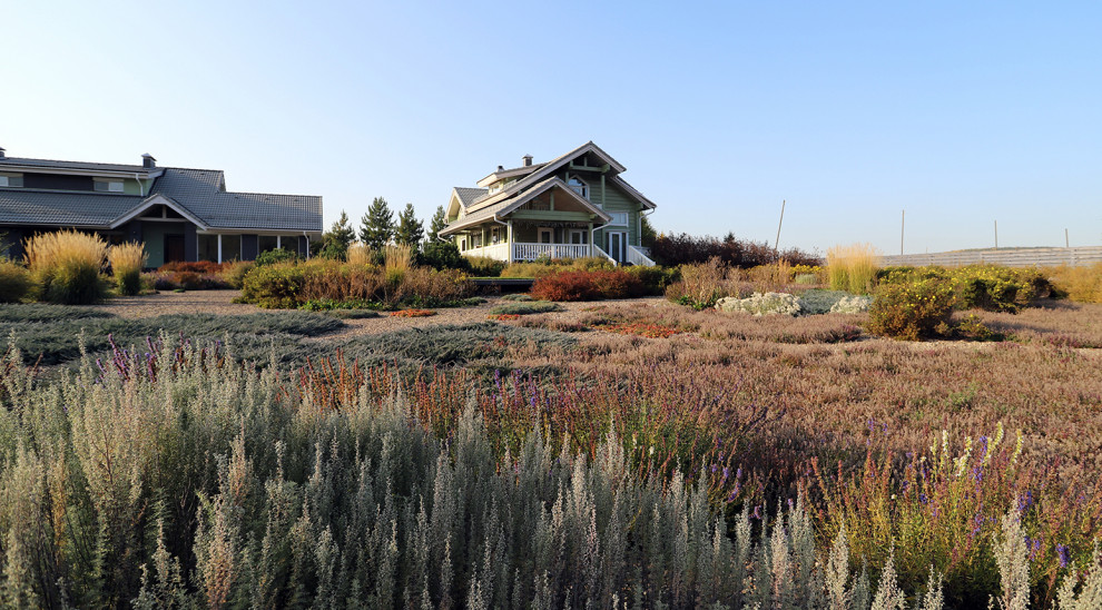 Полынный берег. Новые снимки