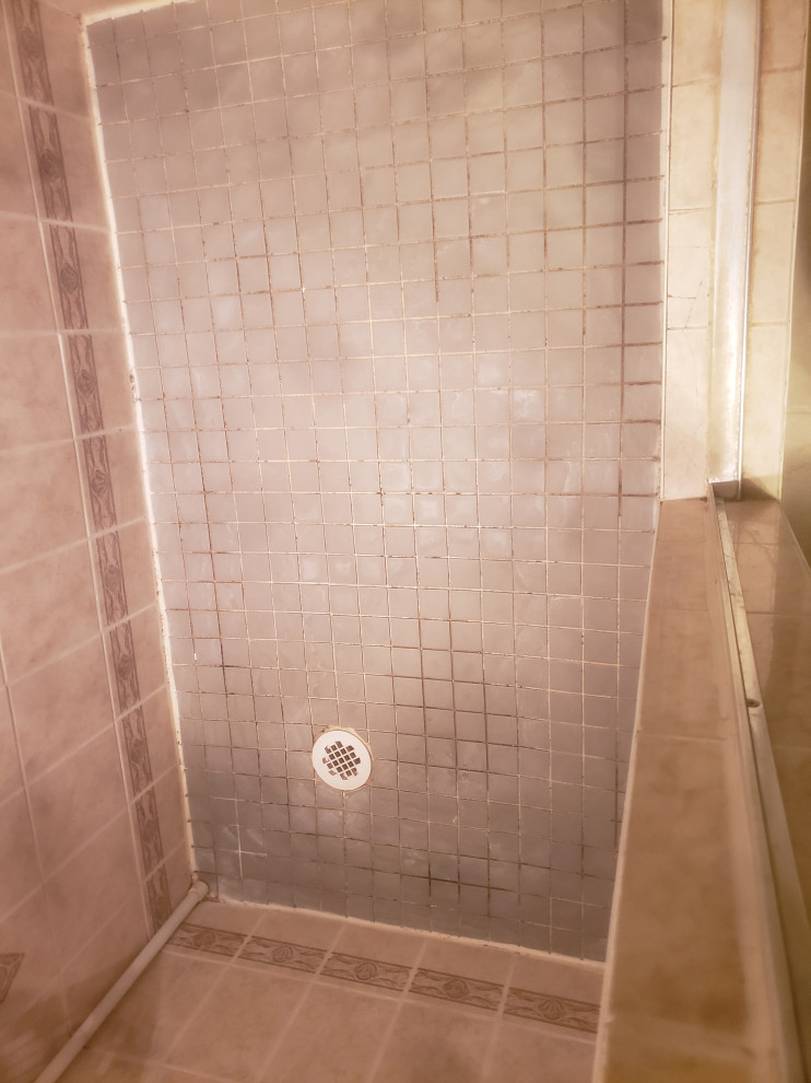 Shower Remediation (Budget Emerg)