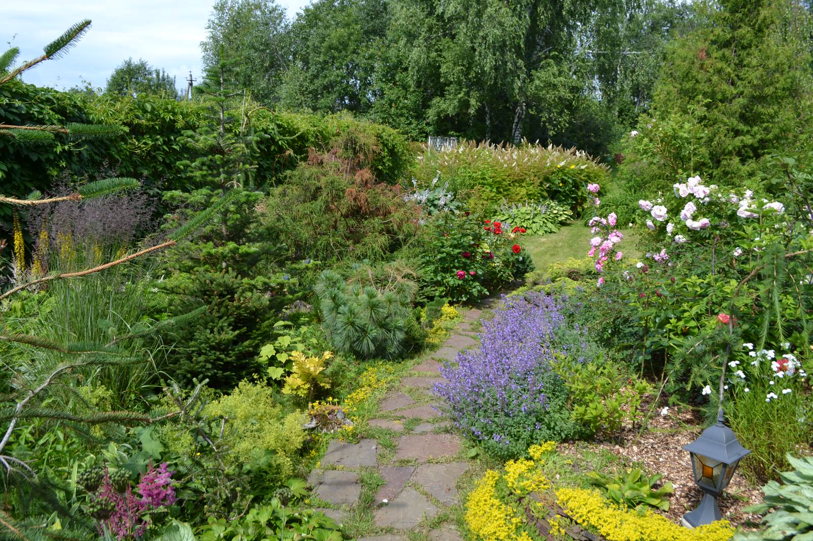 Сад  «Моя цветущая планета».