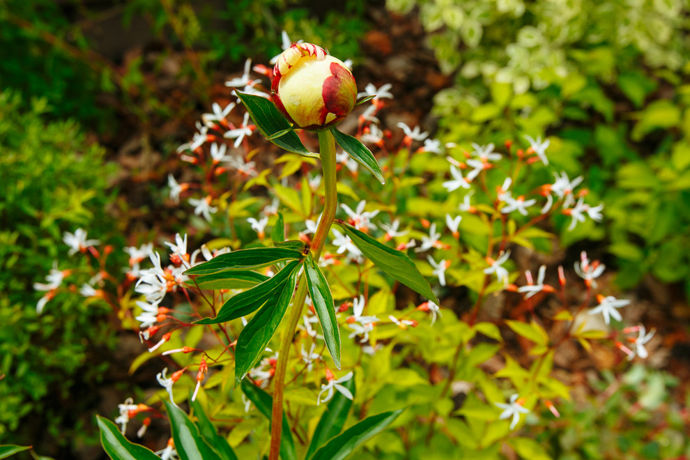 Сад "Витражи". Серебряная медаль конкурса "Ландшафтная осень-2016"