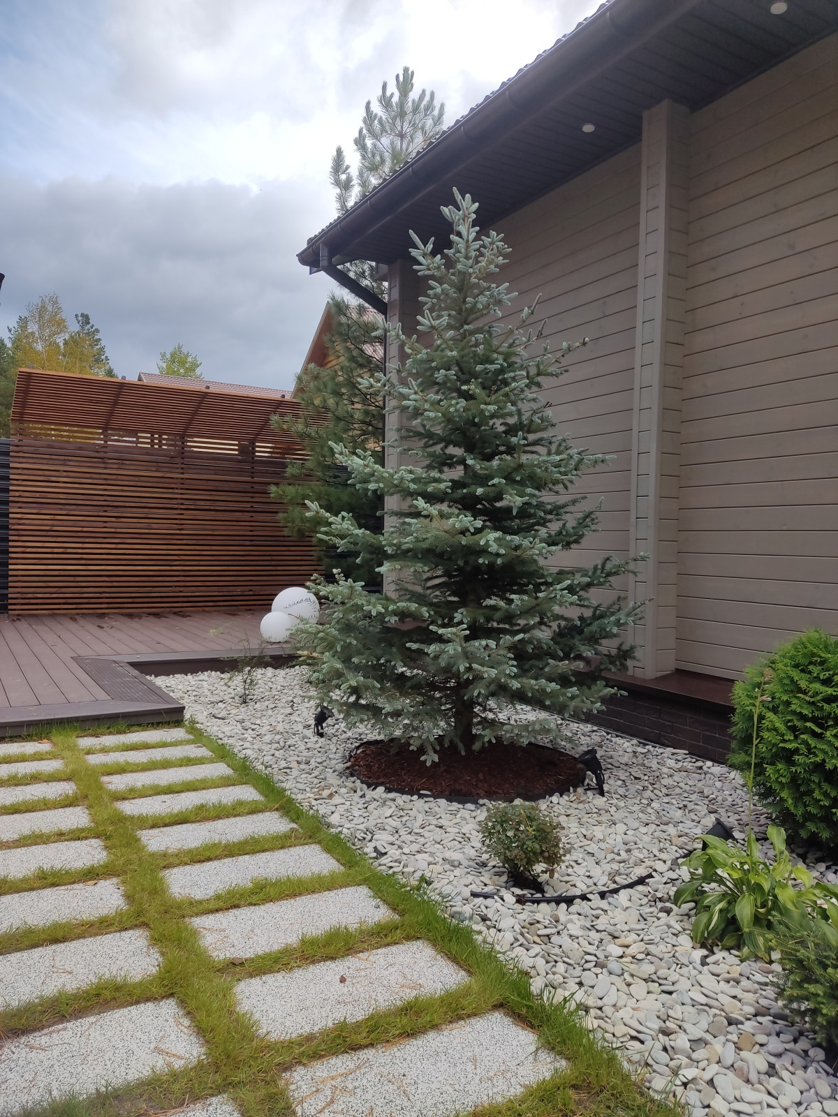 Денис Светлый Яр