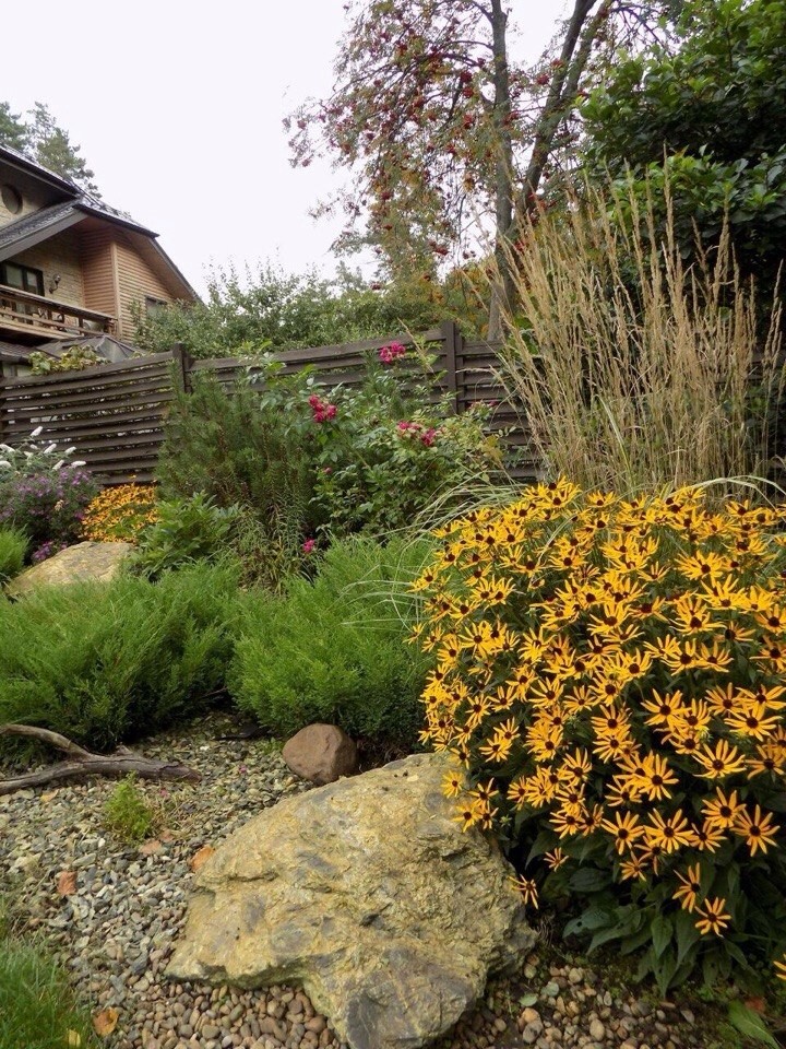 Озеленение, ландшафтный дизайн