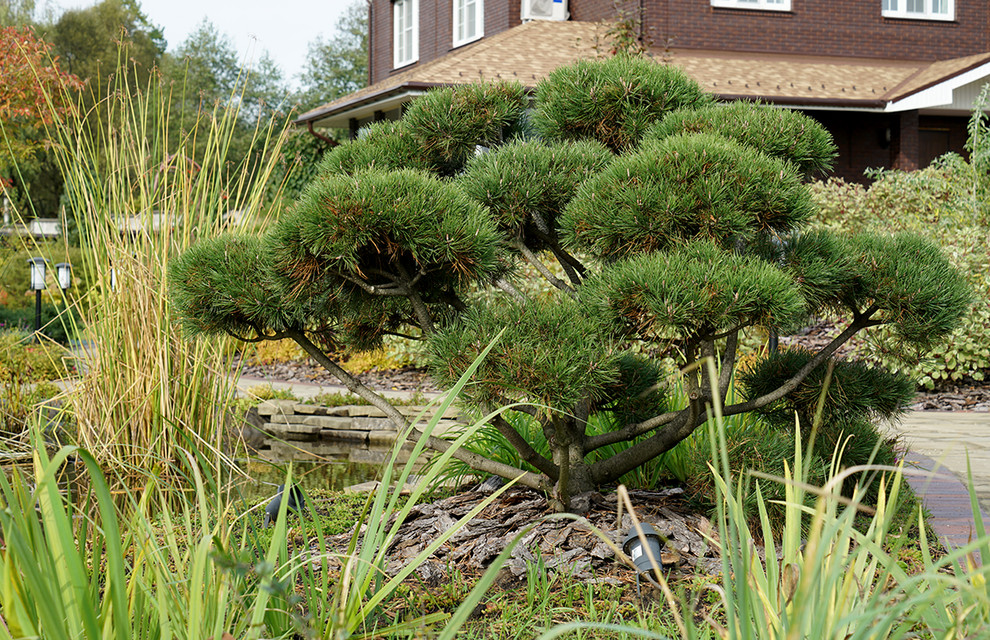 Маленькая усадьба