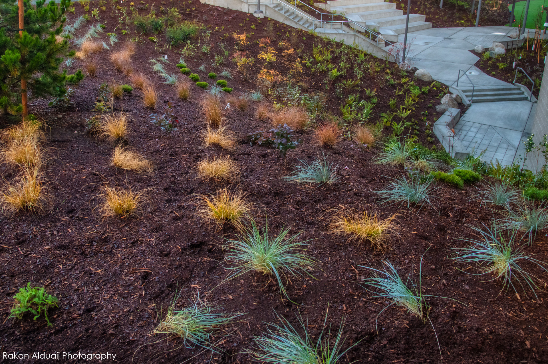COMMERCIAL LANDSCAPE SERVICES
