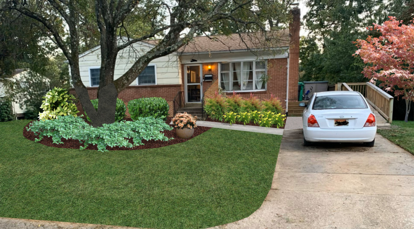Before/After
