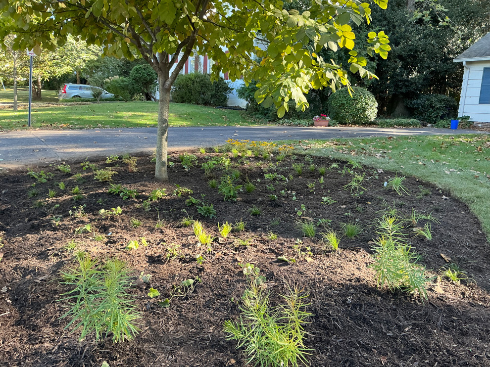 Front Yard Revival: Restoring Curbside Elegance with Native Plants and purpose