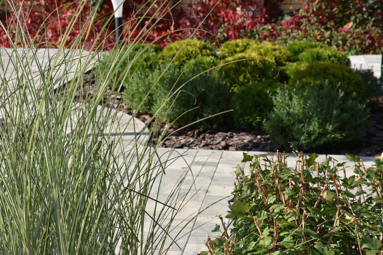 Игра в геометрию