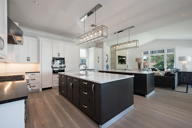 Certified Luxury Builders-41 West-Naples-Aqualane Shores - Home Remodel B contemporary-kitchen