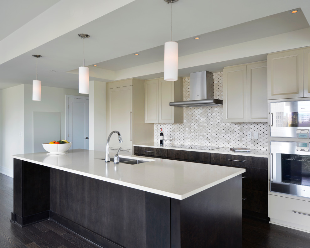 Kitchen - transitional kitchen idea in Ottawa