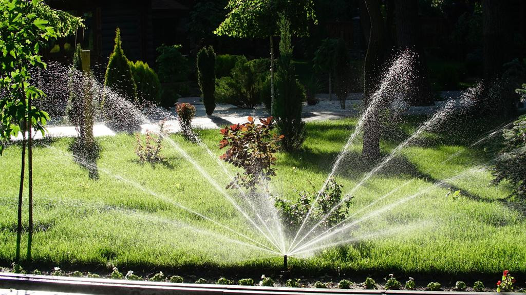 Парк Лога (Ростовская область)