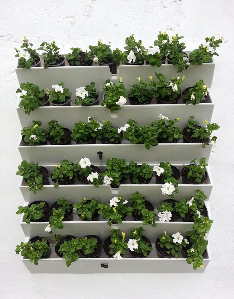 Стена из цветов своими руками. Модуль GREEN COVER 21