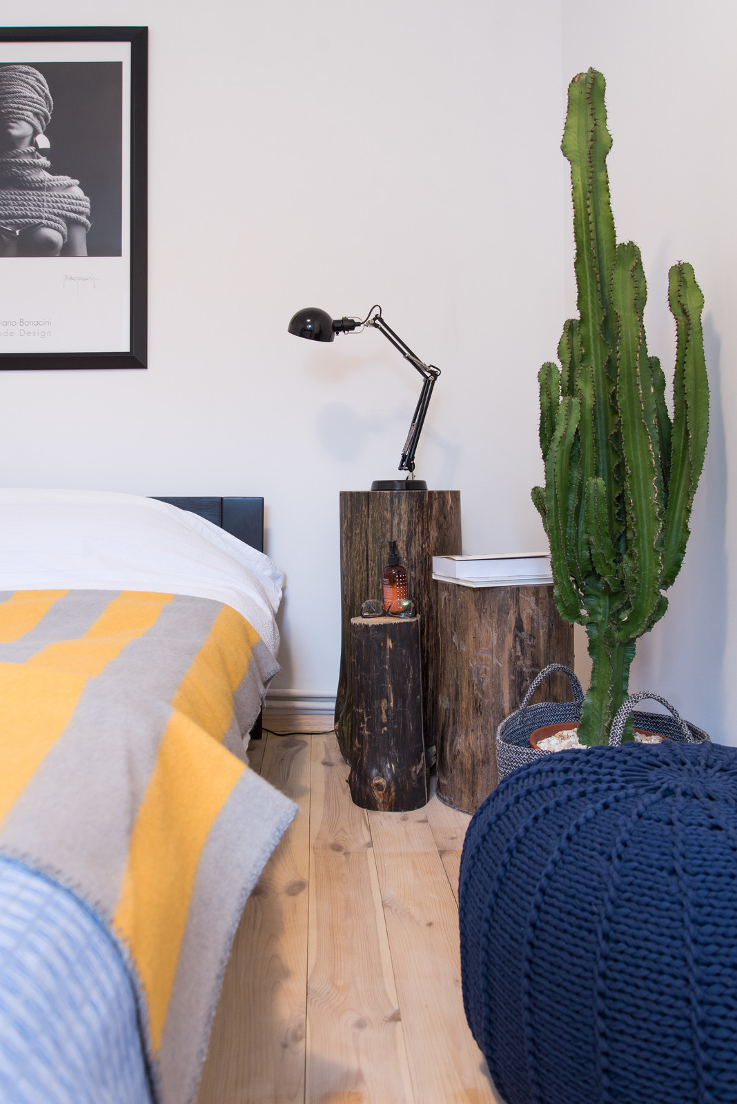 Скандинавия в Киеве