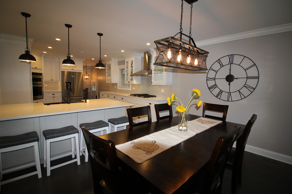 Transitional home design photo in Chicago