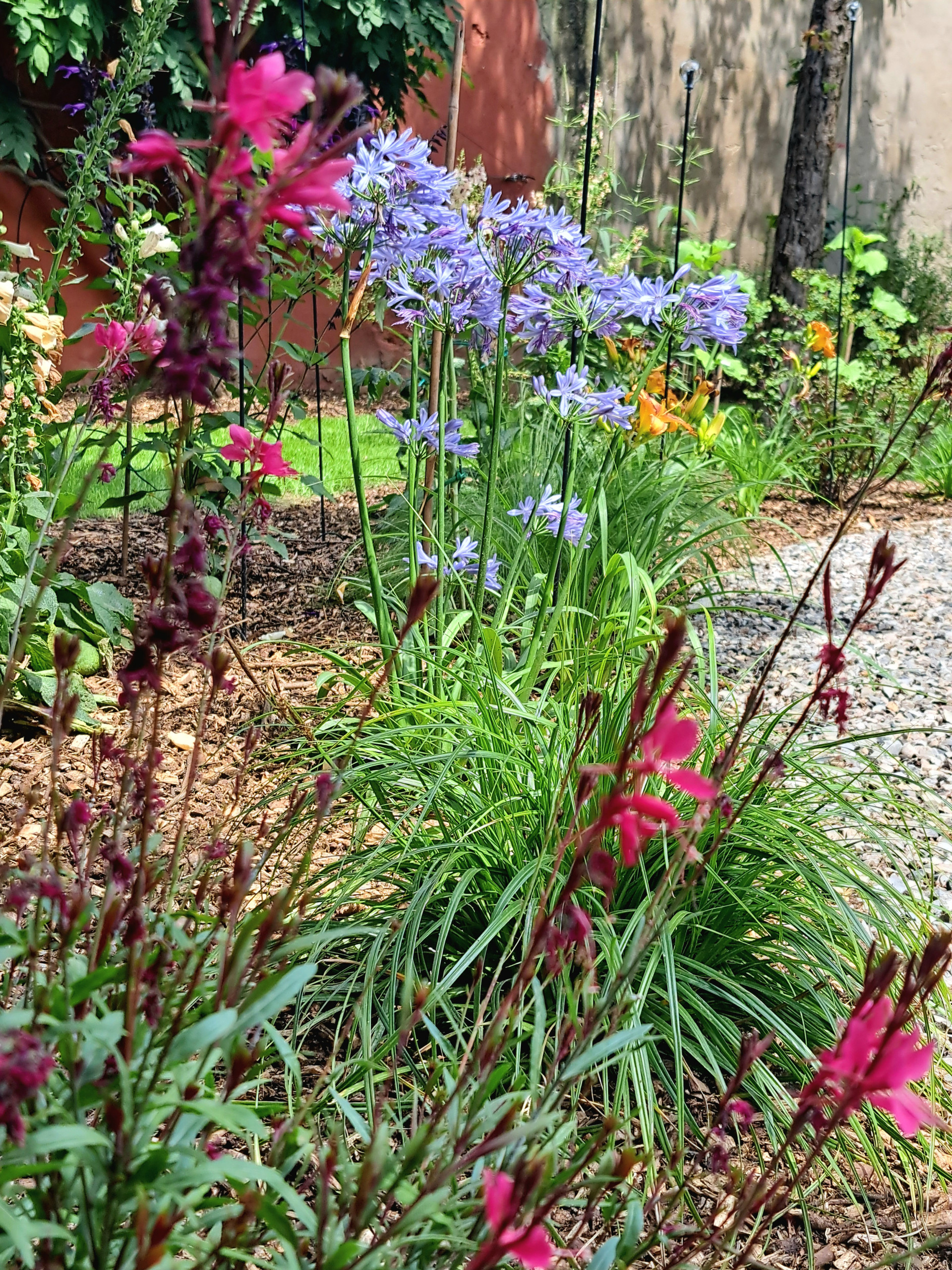 Giardino privato P.S.