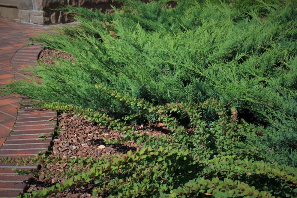 Дизайн участка с уклоном более 7 м.