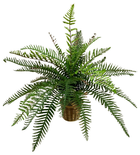 Real Touch River Fern Floor Plant In Basket Tropical